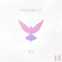 Thumbnail for the Felixx - Fly link, provided by host site