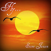 Thumbnail for the Steve Jansen - Fly link, provided by host site