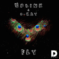 Image of Uplink linking to their artist page due to link from them being at the top of the main table on this page