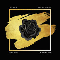 Thumbnail for the Lucian - Fly By Night (TRND Remix) link, provided by host site