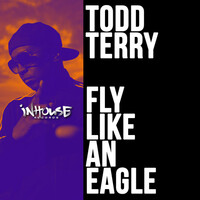 Thumbnail for the Todd Terry - Fly Like an Eagle link, provided by host site