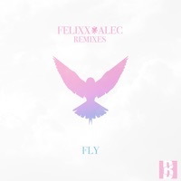 Thumbnail for the Felixx - Fly (Remixes) link, provided by host site