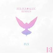 Thumbnail for the Felixx - Fly (Remixes) link, provided by host site