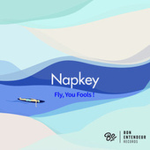 Thumbnail for the Napkey - Fly, You Fools ! link, provided by host site