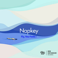 Thumbnail for the Napkey - Fly, You Fools ! link, provided by host site