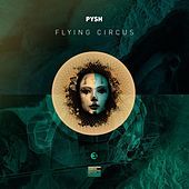 Thumbnail for the Pysh - Flying Circus link, provided by host site