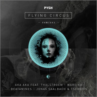Thumbnail for the Pysh - Flying Circus Remixes link, provided by host site