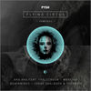 Thumbnail for the Pysh - Flying Circus Remixes link, provided by host site