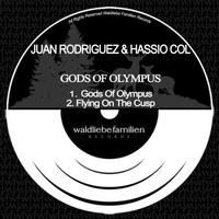 Thumbnail for the Hassio (COL) - Flying On The Cusp link, provided by host site