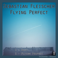 Thumbnail for the Sebastian Fleischer - Flying Perfect link, provided by host site