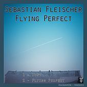 Thumbnail for the Sebastian Fleischer - Flying Perfect link, provided by host site