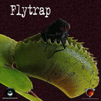 Thumbnail for the Marzz - FlyTrap link, provided by host site