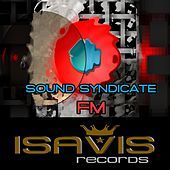 Thumbnail for the Sound Syndicate - FM link, provided by host site