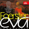 Thumbnail for the Prague Radio Symphony Orchestra - Foerster: Eva. Opera in 3 Acts link, provided by host site