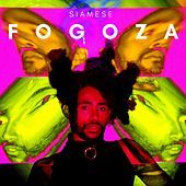 Thumbnail for the Siamese - Fogoza link, provided by host site