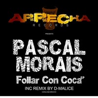 Thumbnail for the Pascal Morais - Follar Con Coca link, provided by host site
