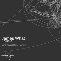 Thumbnail for the James What - Follicle link, provided by host site
