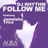 Thumbnail for the DJ Rhythm - Follow Me link, provided by host site