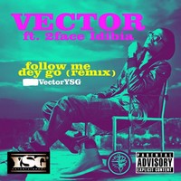 Thumbnail for the Vector - Follow Me Dey Go (Remix) link, provided by host site