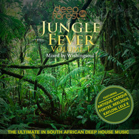 Thumbnail for the Landy - Fonque - Original Mix link, provided by host site