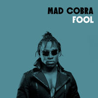 Thumbnail for the Mad Cobra - Fool link, provided by host site