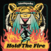 Thumbnail for the Matisyahu - Fool's Gold link, provided by host site