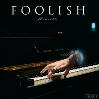 Thumbnail for the Troy - Foolish (Acoustic) link, provided by host site