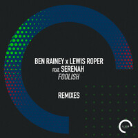 Thumbnail for the Ben Rainey - Foolish (Remix Radio Edits) link, provided by host site