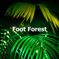 Thumbnail for the Calming Rainforest Sounds - Foot Forest link, provided by host site