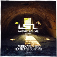 Thumbnail for the Flatmate - Footprint - Original Mix link, provided by host site