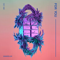 Thumbnail for the Vandelux - For You link, provided by host site