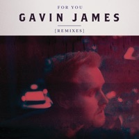 Thumbnail for the Gavin James - For You (Bearcubs Remix) link, provided by host site