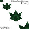 Thumbnail for the Ditto - Foray link, provided by host site