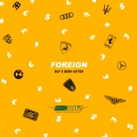 Thumbnail for the Dlp - Foreign link, provided by host site