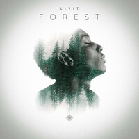 Thumbnail for the LIVIT - Forest link, provided by host site