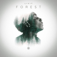 Thumbnail for the LIVIT - Forest link, provided by host site