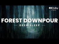 Thumbnail for the Alex Marshall - Forest Downpour | 10 Hours Sounds for Sleep, Calming or Relaxation | Nature, Rain and White Noise link, provided by host site