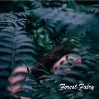 Thumbnail for the PlastiKid - Forest Fairy link, provided by host site