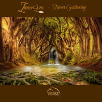Thumbnail for the InnerSync - Forest Gathering link, provided by host site