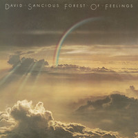 Thumbnail for the David Sancious - Forest of Feelings link, provided by host site
