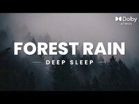 Thumbnail for the Alex Marshall - Forest Rain | 10 Hours Sounds for Sleep, Calming or Relaxation | Nature White Noise link, provided by host site