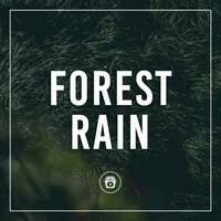 Thumbnail for the Whale Sounds - Forest Rain link, provided by host site
