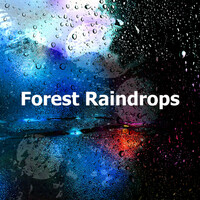 Thumbnail for the Rain - Forest Raindrops link, provided by host site