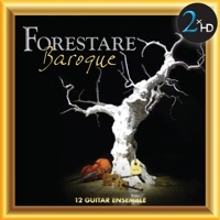 Thumbnail for the Forestare - Forestare Baroque link, provided by host site