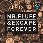 Thumbnail for the Mr. Fluff - Forever link, provided by host site