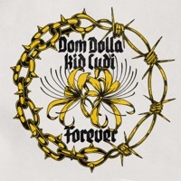 Thumbnail for the Dom Dolla - Forever link, provided by host site