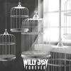 Image of Willy Joy linking to their artist page due to link from them being at the top of the main table on this page