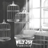 Thumbnail for the Willy Joy - Forever link, provided by host site