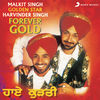 Thumbnail for the Malkit Singh - Forever Gold link, provided by host site