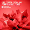 Thumbnail for the First Effect - Forever Sheltered link, provided by host site